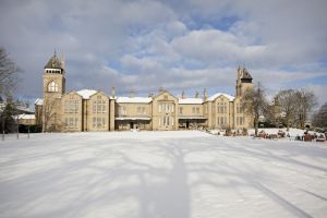 block 14 november 30 2010 image 1 sm.jpg
